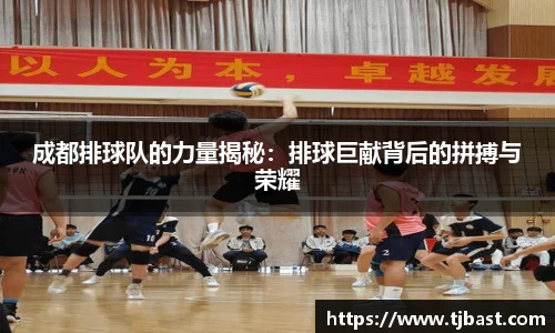 成都排球队的力量揭秘：排球巨献背后的拼搏与荣耀